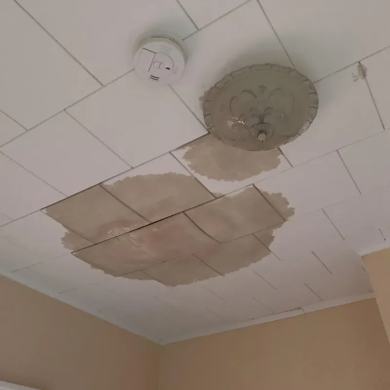 Ceiling Water Damage Repair in Ohio County, WV