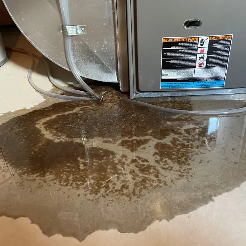 Pipe Burst and Leak Restoration in Ohio County, WV