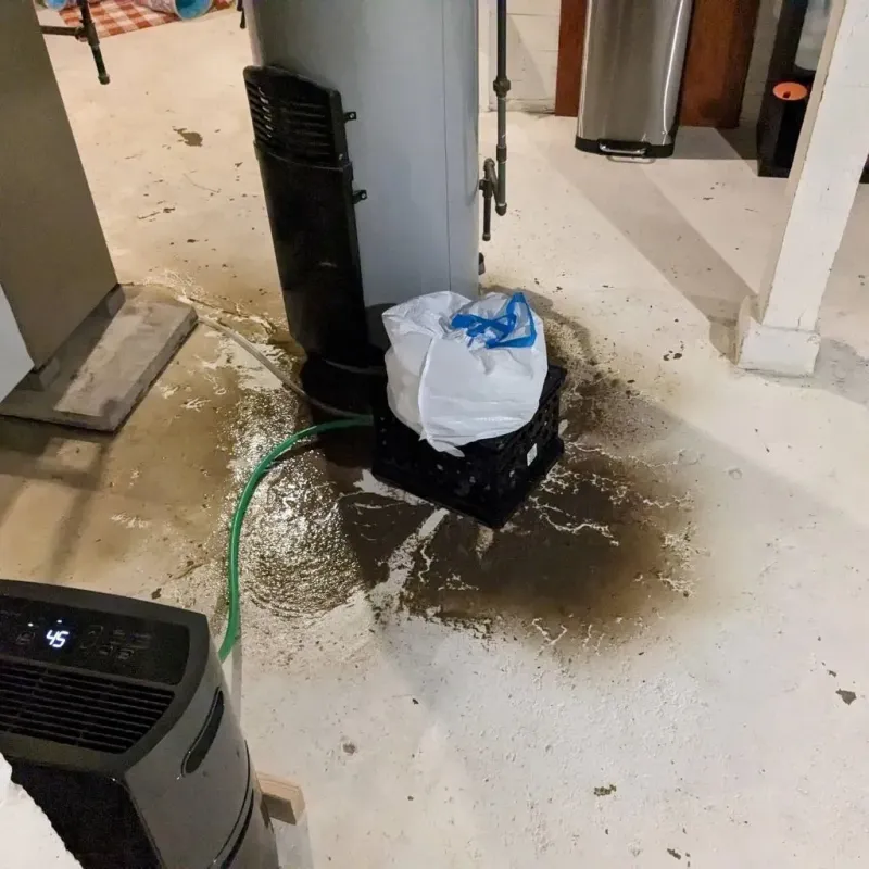 Sewage Backup Cleanup Service in Ohio County, WV